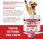 Tratamiento Urinario para Perros con Arándano Rojo – Salud de Vejiga y Riñones – Special Breed