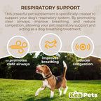 Doggie Condiments Suplemento Respiratorio para Perros - Apoyo Natural para la Respiración, Congestión y Tos