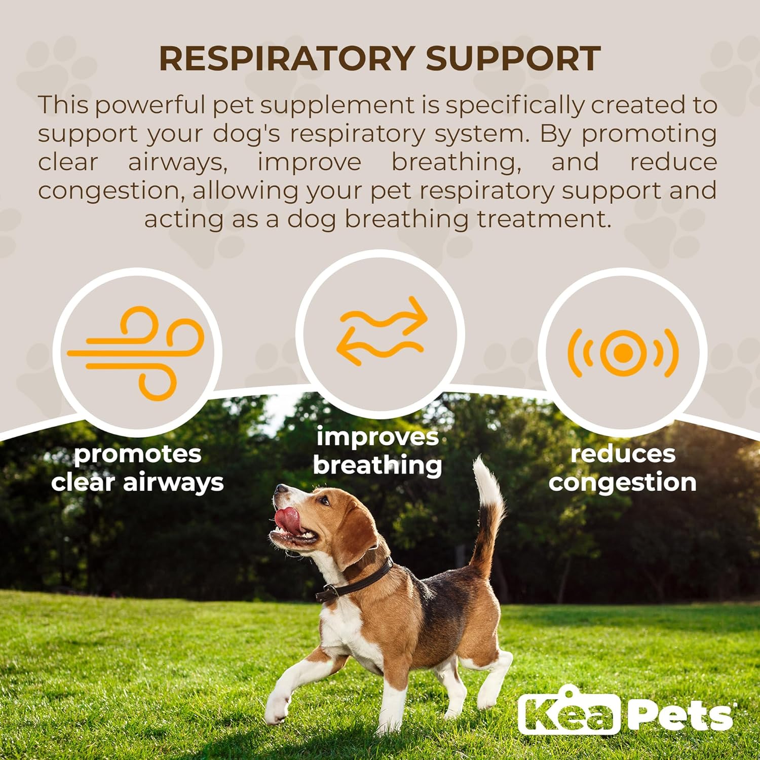 Doggie Condiments Suplemento Respiratorio para Perros - Apoyo Natural para la Respiración, Congestión y Tos