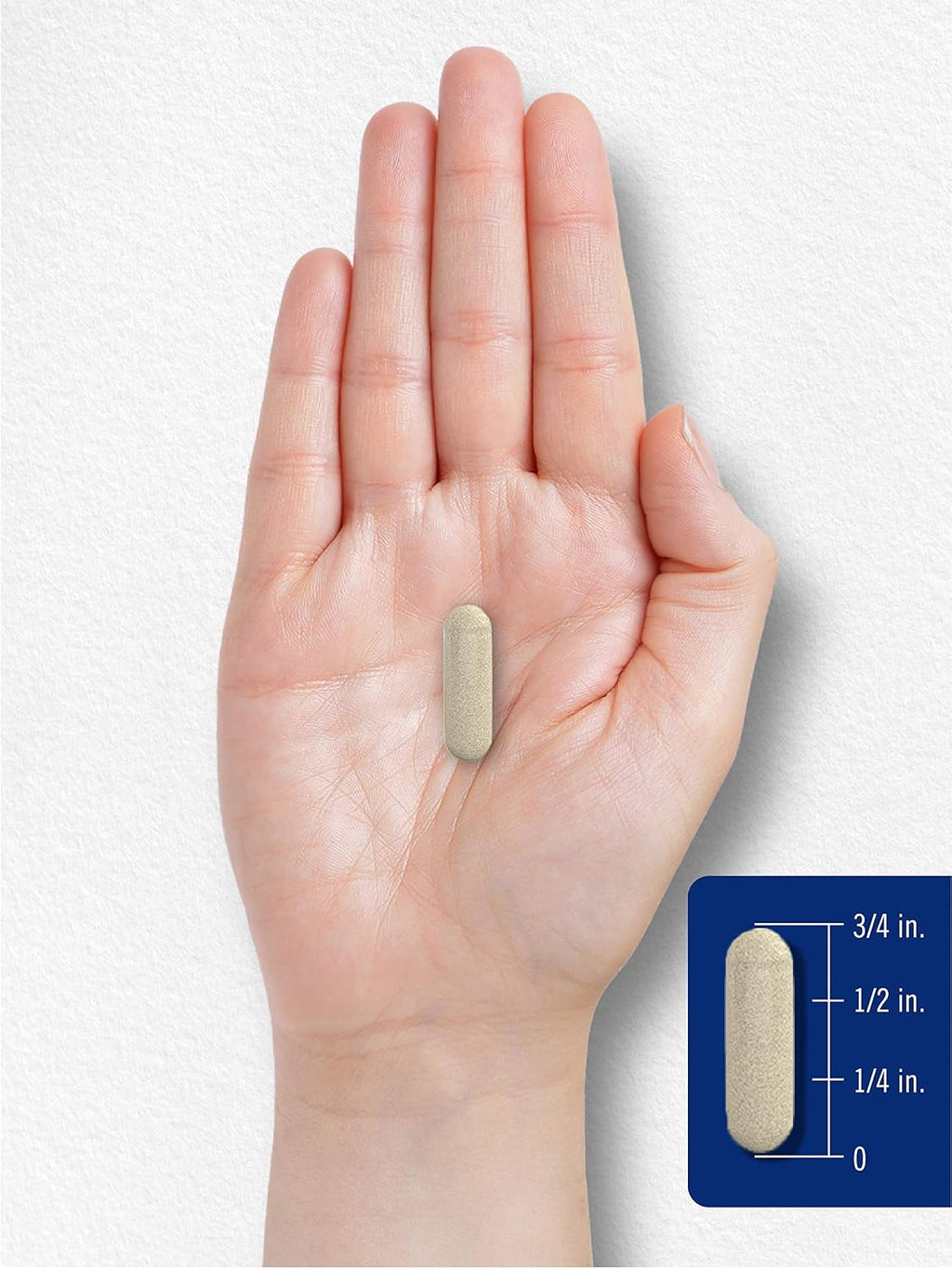 Carlyle Suplemento de Butterbur (Petasites) 150 mg | 180 Cápsulas | Extracto de Partes Aéreas Libre de PA | No Transgénico y Sin Gluten