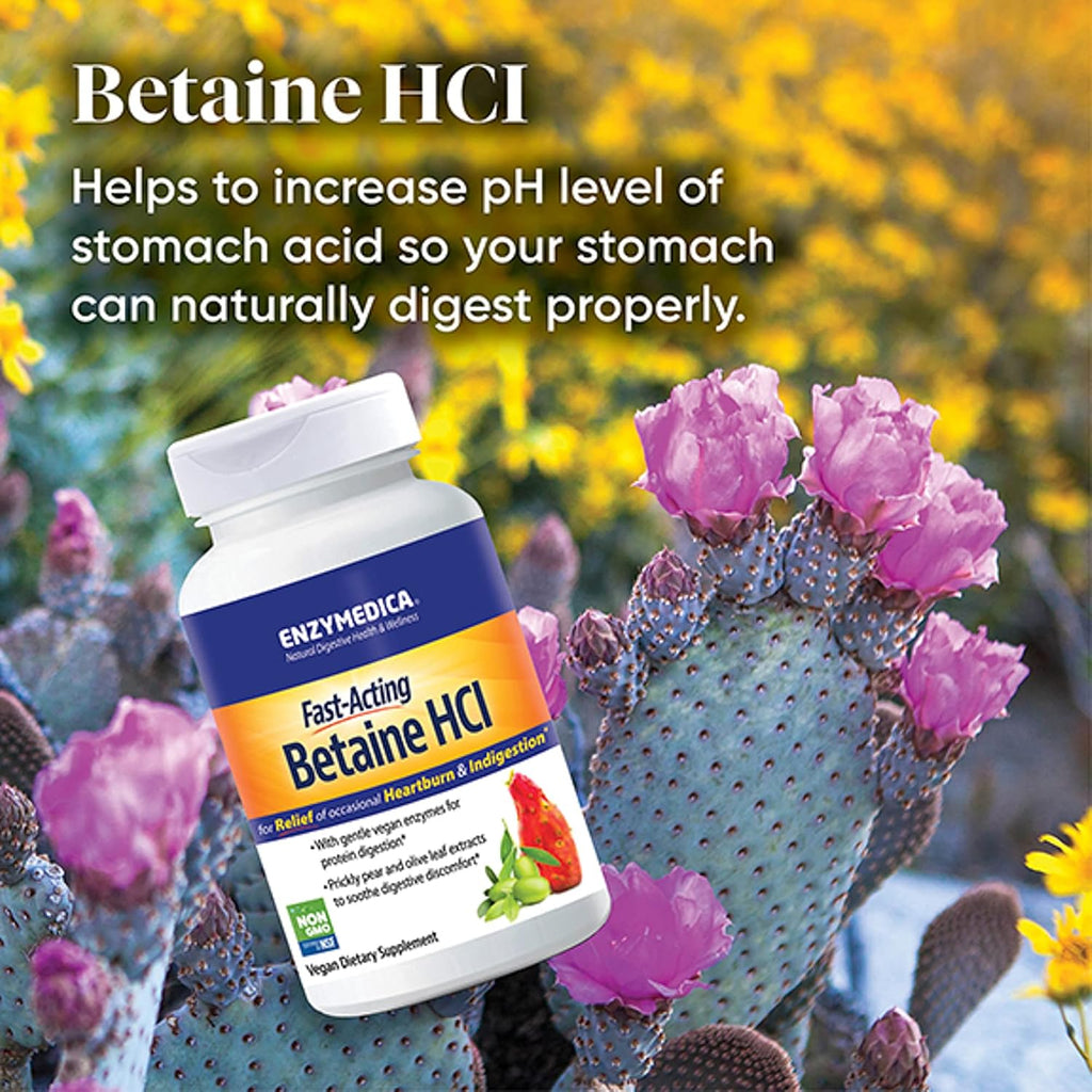 Enzymedica Betaine HCl, 120 Cápsulas - Complemento de Ácido Clorhídrico y Enzimas Digestivas
