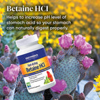 Enzymedica Betaine HCl, 120 Cápsulas - Complemento de Ácido Clorhídrico y Enzimas Digestivas