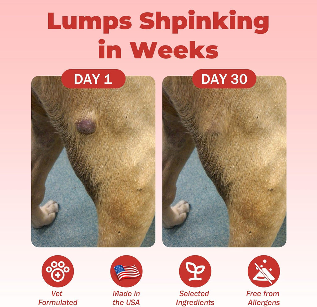 VivaElixir Suplemento para Bultos en Perros - Masticables Inmunológicos con Hongos y Curcumina, 150 uds