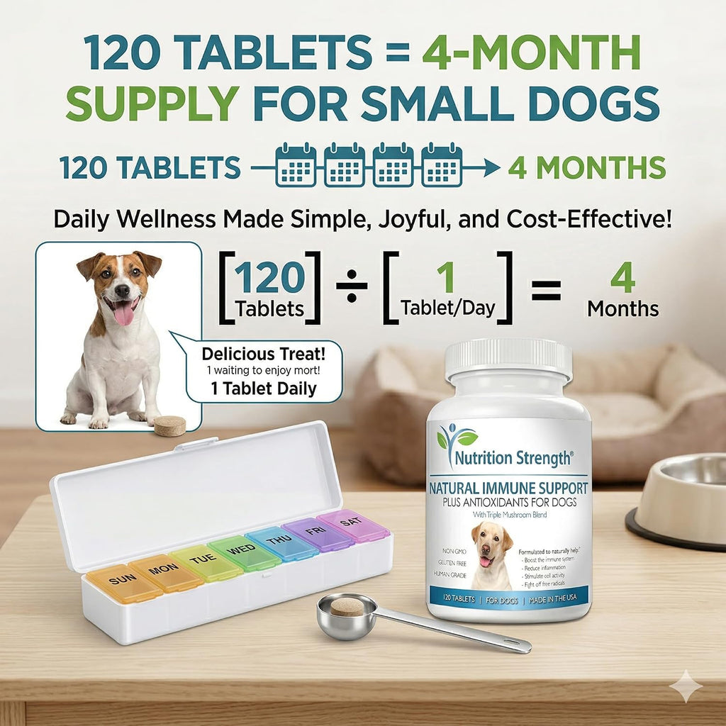 Nutrition Strength Immune Support for Dogs - Turkey Tail, Reishi, Shiitake, Maitake Mushroom Complex - Senior Dog Health - 120 Chewable Tablets