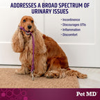 Pet MD Bladder Support Plus Cranberry para Perros - Apoyo a la Vejiga y Salud Urinaria - 60 Chews