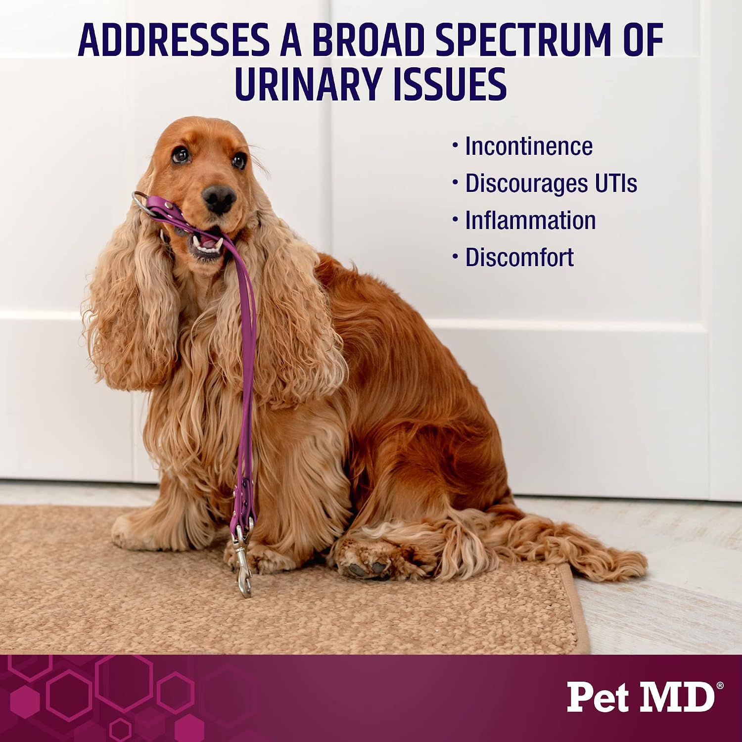 Pet MD Bladder Support Plus Cranberry para Perros - Apoyo a la Vejiga y Salud Urinaria - 60 Chews