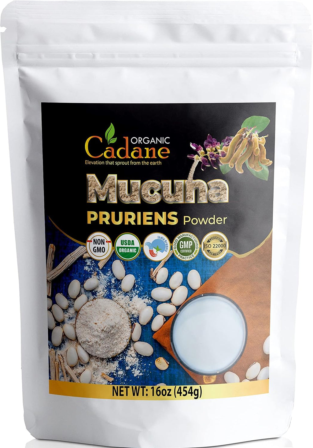 Organic Cadane Mucuna Pruriens en Polvo 1 Libra | Ayuda a la Salud Cerebral, Inmunidad y Energía | Certificado USDA Vegano