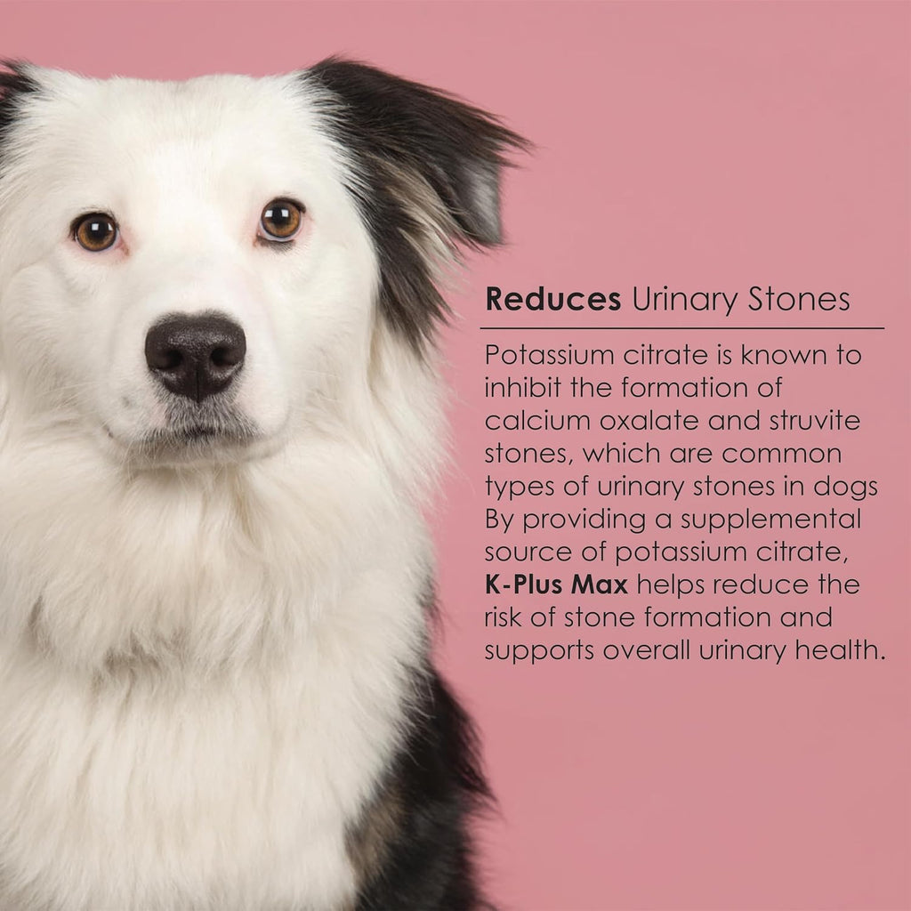 K-PLUS MAX Urinary Tract Health Soft Chews para Perros – Arándano, DL-Metionina y Citrato de Potasio – 90 Chews Blandos