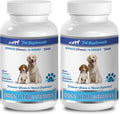 Immune Boost Multivitamínico para Perros - Vitaminas y Minerales Esenciales - 180 Masticables