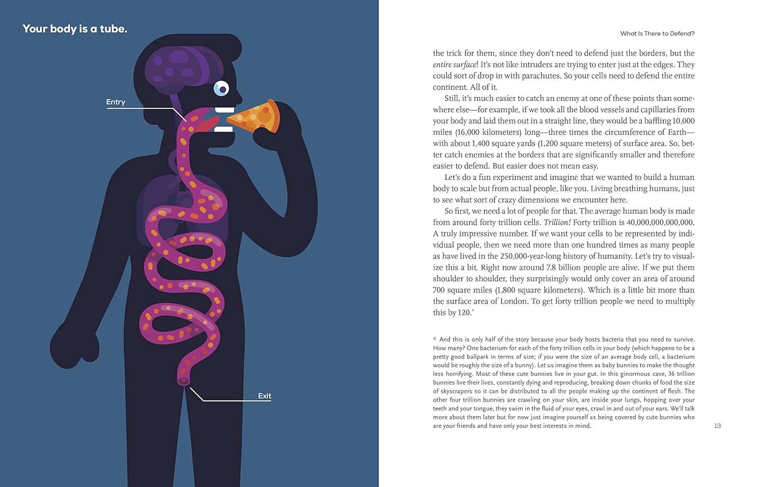 Immune: A Journey Into the Mysterious System That Keeps You Alive