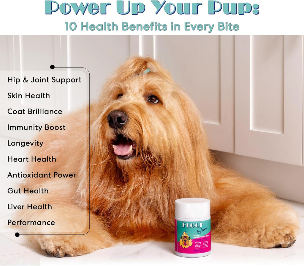 Floof by Brodie 10-en-1 Multivitamínico para Perros - 60 Masticables (180 g)