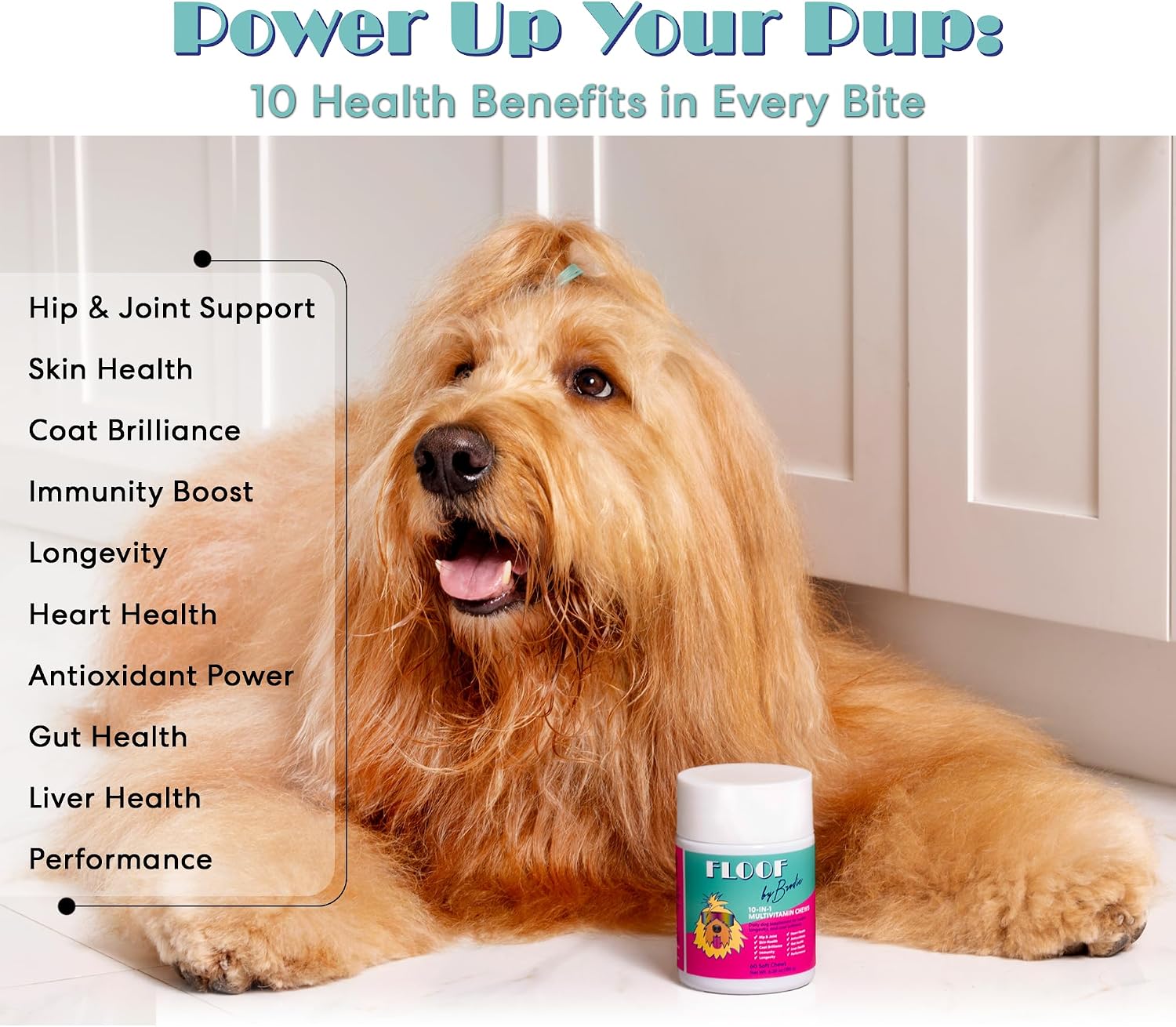 Floof by Brodie 10-en-1 Multivitamínico para Perros - 60 Masticables (180 g)