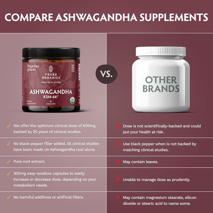 TRIBE ORGANICS Ashwagandha KSM 66 - 90 – Contribuir al manejo del estrés y la ansiedad. – Image 6