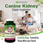 Kidney Support for Dogs – Canine Herbal Supplement for Kidneys and Bladder – 90 Capsules