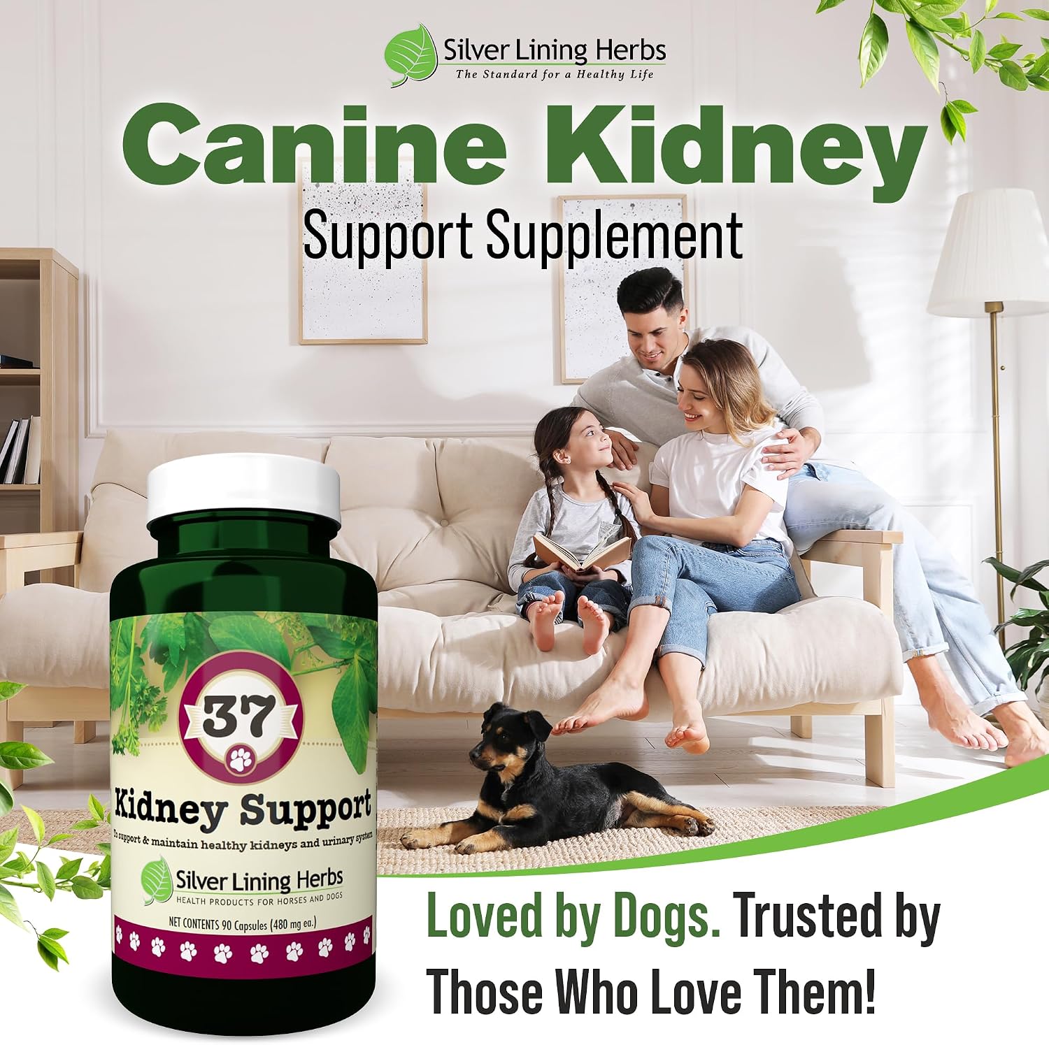 Kidney Support for Dogs – Canine Herbal Supplement for Kidneys and Bladder – 90 Capsules