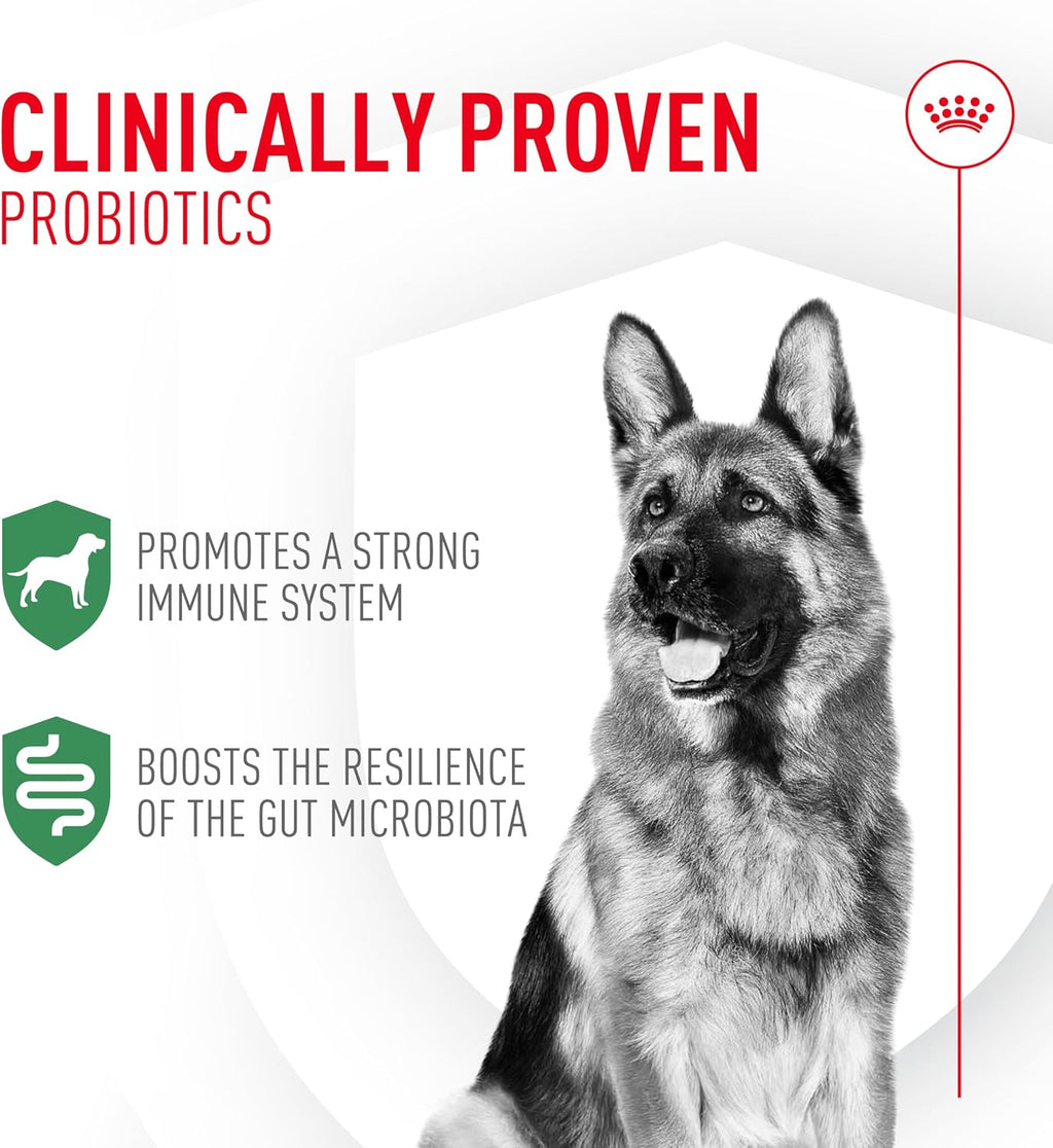 Royal Canin Probióticos para Perros, Salud Digestiva e Inmunitaria, Suplemento en Polvo para Perros de Todas las Edades, 7 Sobres