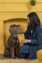 KVP Mendy Chews Multivitamínicos para Perros - Apoyo Articular y Recuperación Muscular - Sabor a Pollo - 60 unidades