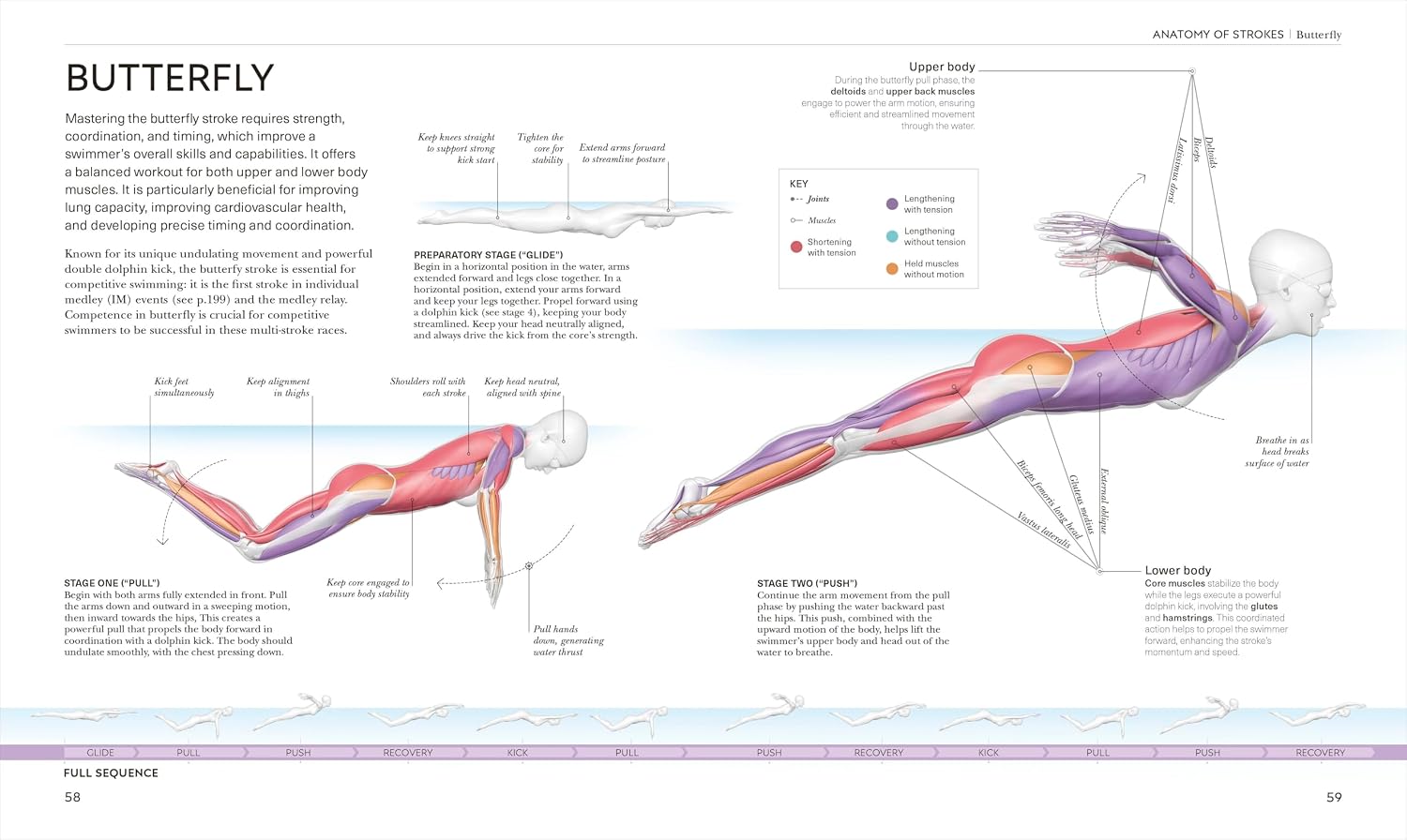 Science of Swimming: Transform Your Stroke, Improve Strength, Revolutionize Your Training (The Science of Fitness)