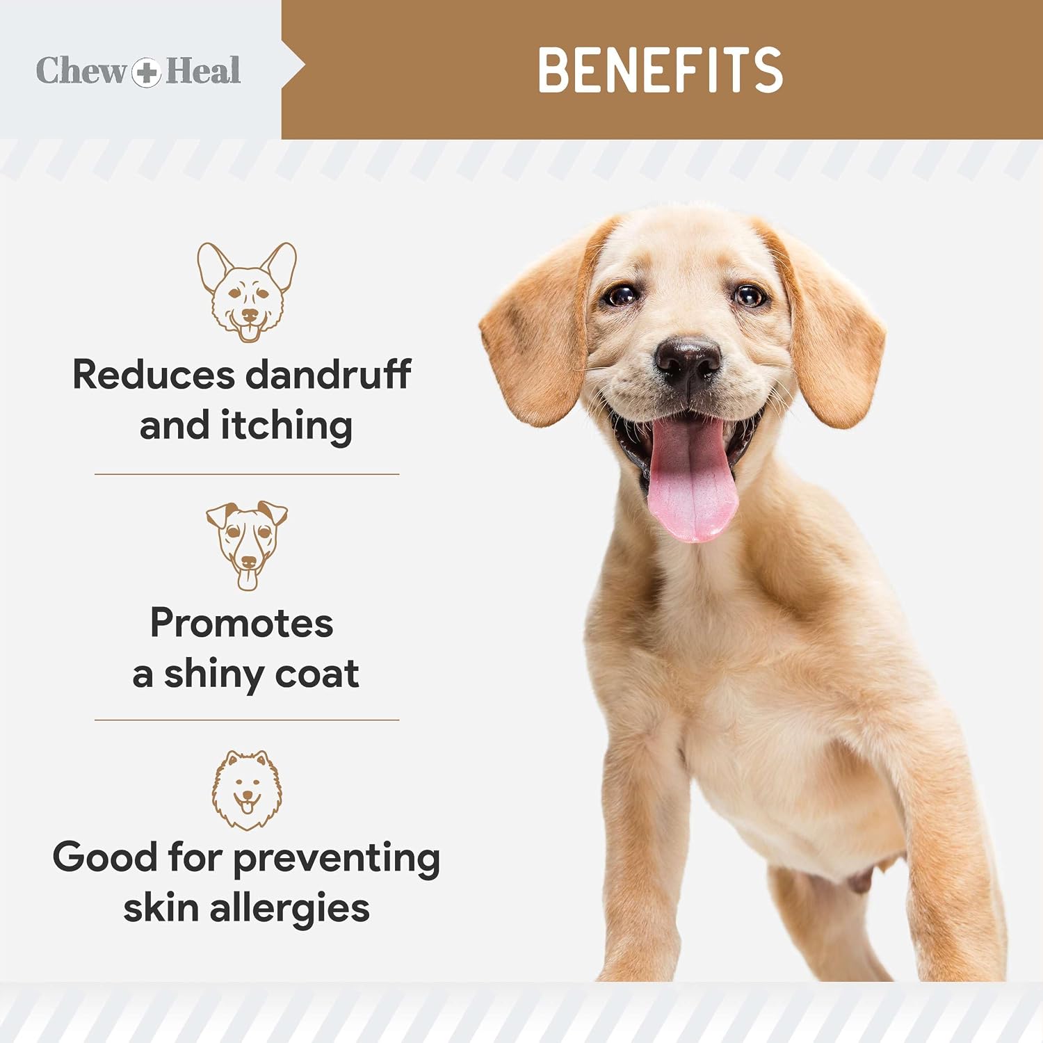 Anti Itch para Perros - 360 Golosinas Blandas Omega para Piel y Pelaje - Mezcla de Aceite de Salmón con Ácidos Grasos Esenciales, Omega 3, 6, Vitaminas, Antioxidantes - Hecho en EE.UU. (2 Paquetes de 180, Sabor a Mantequilla de Maní)