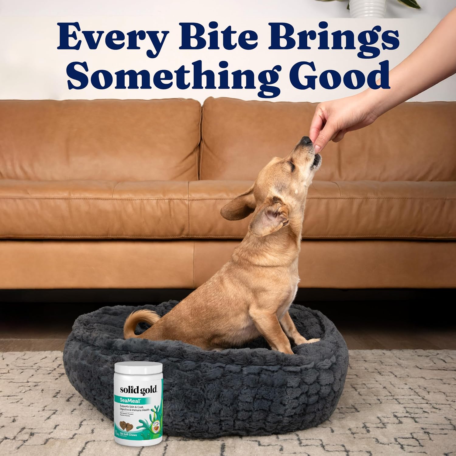 Solid Gold SeaMeal Multivitamínico Masticable para Perros y Gatos - 120 uds