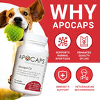 Apocaps CX Apoptogen Formula para Perros - Cardo Mariano y Cúrcuma - 90 Cápsulas