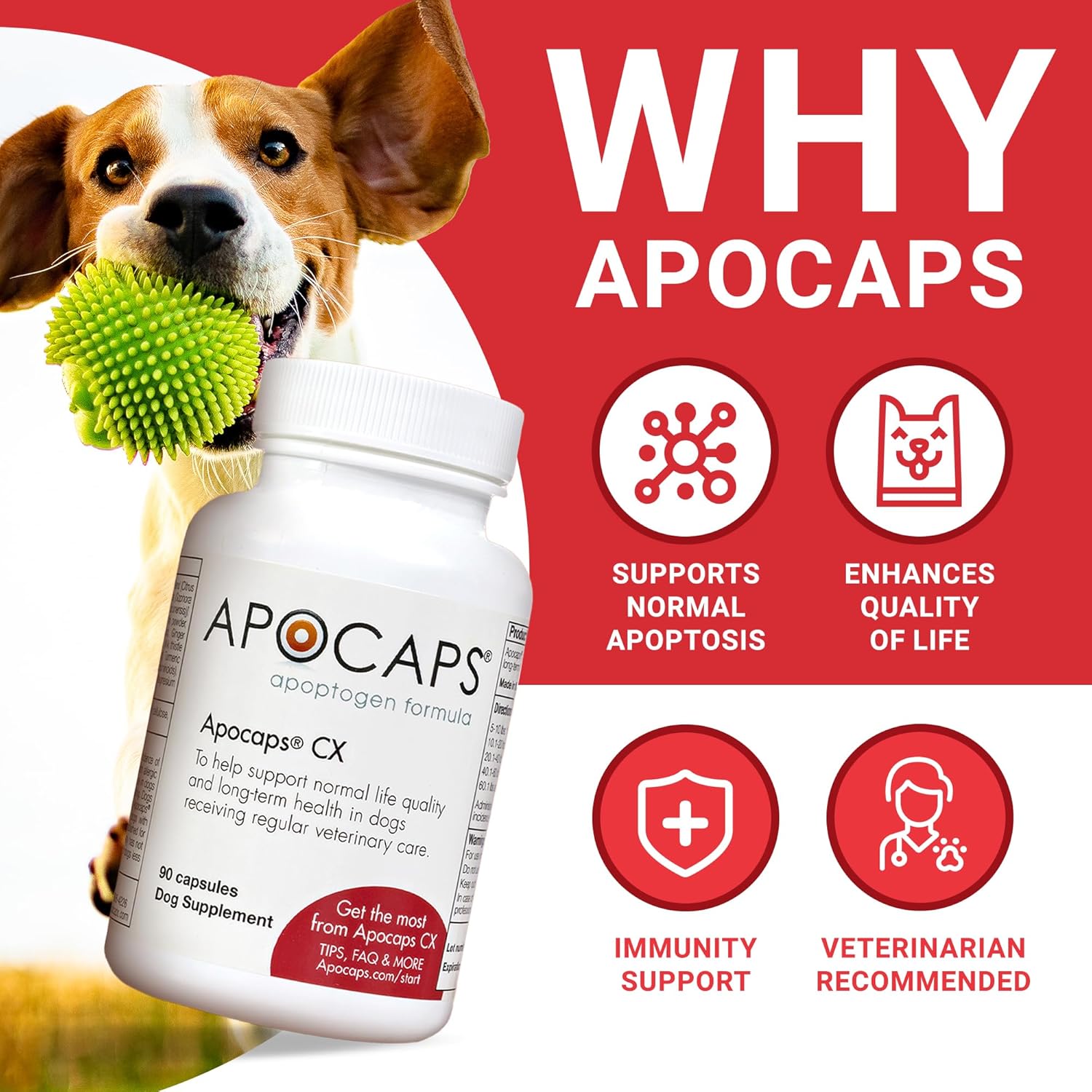 Apocaps CX Apoptogen Formula para Perros - Cardo Mariano y Cúrcuma - 90 Cápsulas