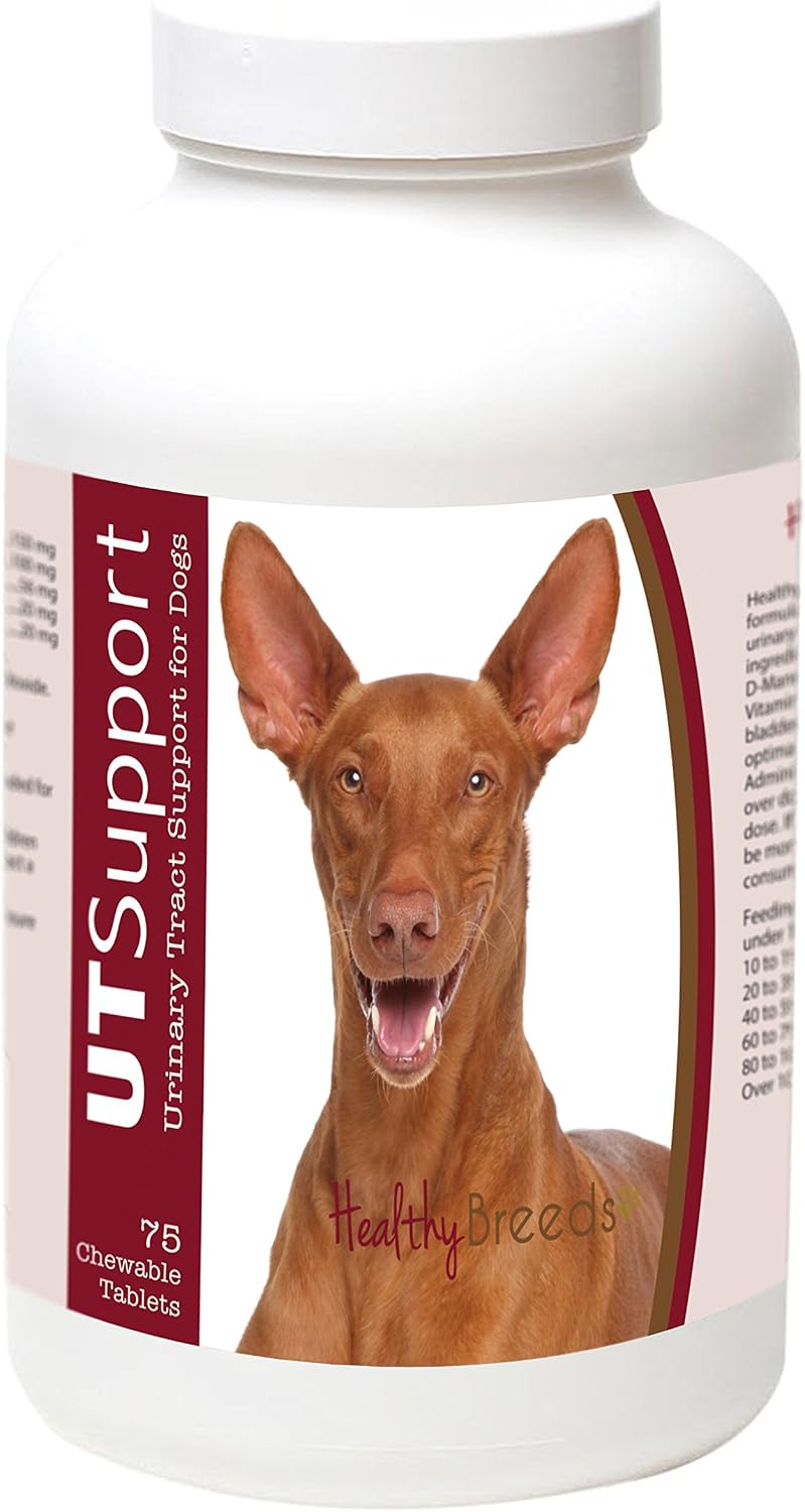 Healthy Breeds Masticables de Arándano para Perros - Apoyo al Tracto Urinario - 75 Unidades