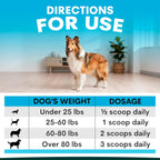 Petz Park Suplemento para Piel y Pelaje de Perro - 90 Dosis - Omega 3, Zinc y Biotina - Polvo para Perros