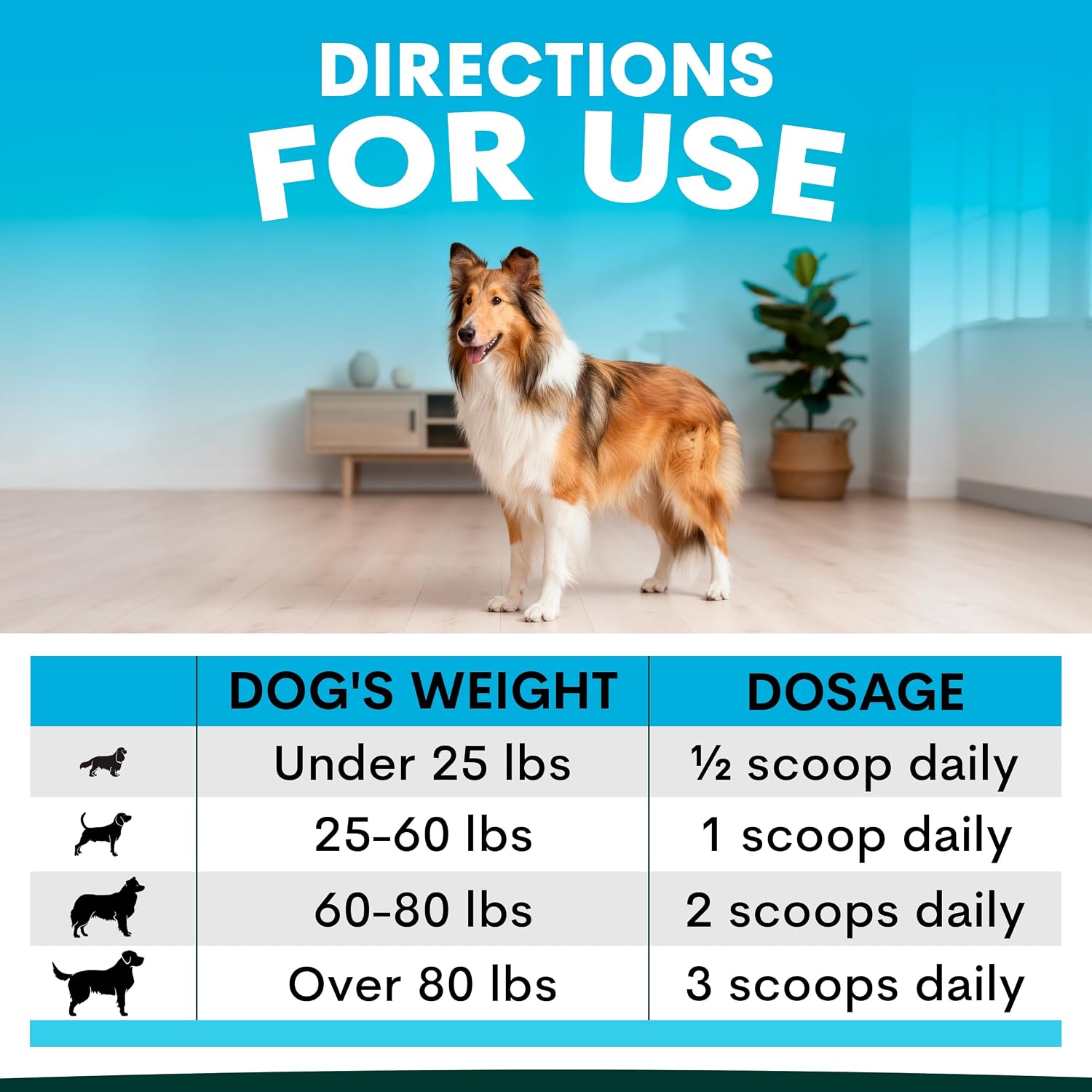 Petz Park Suplemento para Piel y Pelaje de Perro - 90 Dosis - Omega 3, Zinc y Biotina - Polvo para Perros