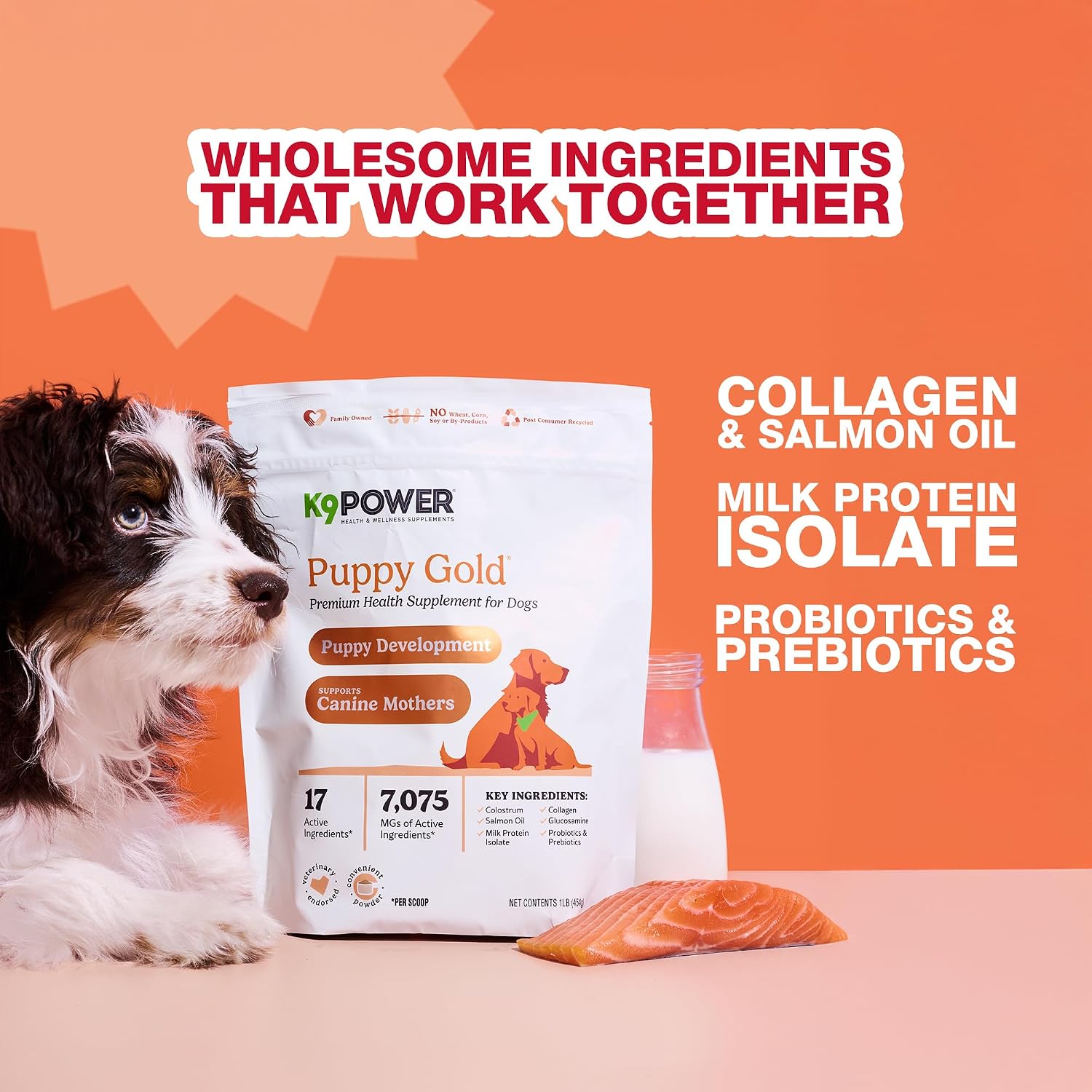 K9Power Puppy Gold 3lb – Suplemento para Cachorros