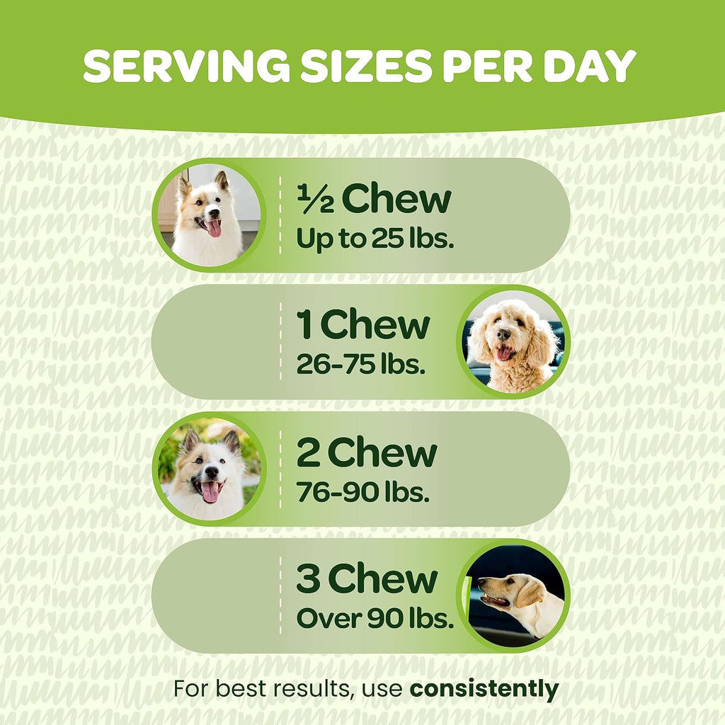Masticables probióticos para perros con calabaza y enzimas digestivas | 90 unidades