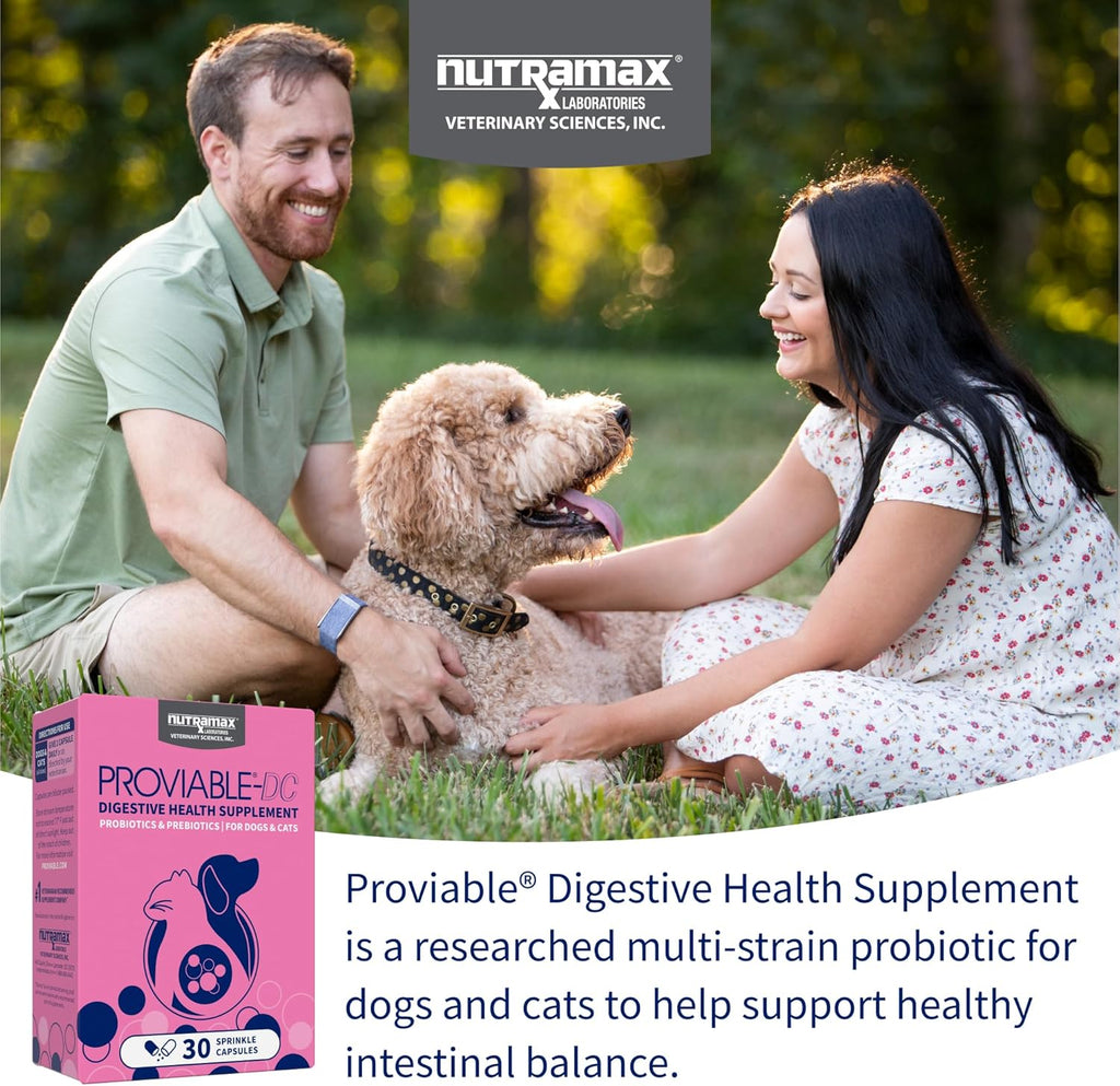 Nutramax Proviable Probióticos para Perros y Gatos, Suplemento Digestivo Diario con Múltiples Cepas Bacterianas, 30 Cápsulas