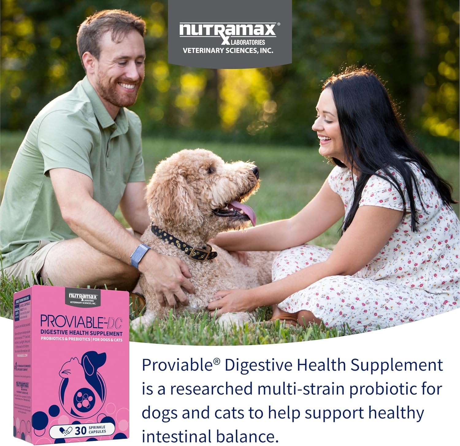 Nutramax Proviable Probióticos para Perros y Gatos, Suplemento Digestivo Diario con Múltiples Cepas Bacterianas, 30 Cápsulas