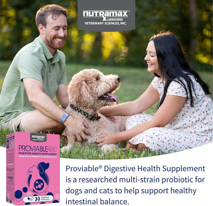 Nutramax Proviable Probióticos para Perros y Gatos, Suplemento Digestivo Diario con Múltiples Cepas Bacterianas, 30 Cápsulas – Image 3