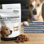 Paw Choice Probióticos para Perros con Prebióticos - Masticables Diarios para la Salud Intestinal, Digestión, Regularidad y Apoyo Inmunológico - Suplemento Natural en Forma de Golosina Hecho en EE. UU.