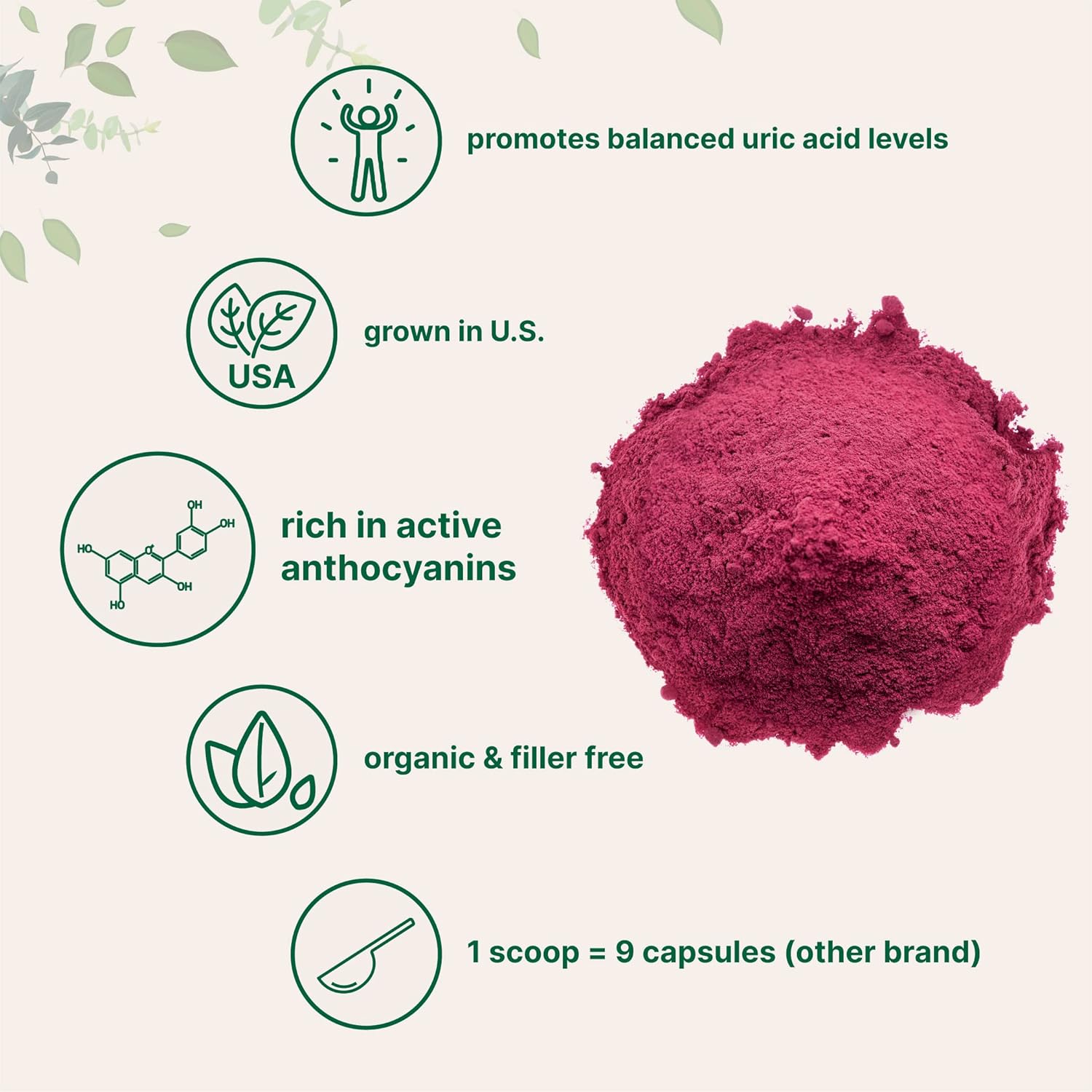 Micro Ingredients Polvo de Cereza Ácida Orgánica, 113 g
