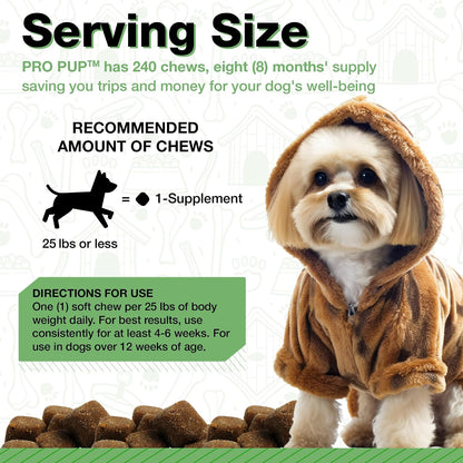 Probióticos para Perros Pawlife - 240 – Formato masticable: A diferencia de los polvos que hay que mezclar con la – Image 5