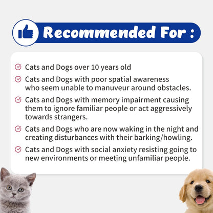 Recogry Líquido Apoyo Cognitivo para Perros – DHA (de aceite de algas): Un ácido graso omega-3 fundamental para la – Image 4