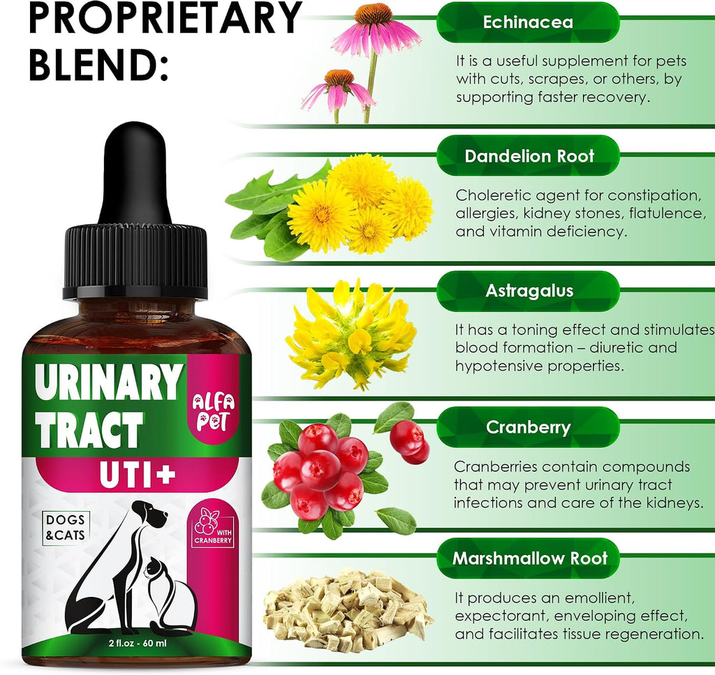 Complemento Urinario con Arándano para Perros y Gatos - Gotas para el Apoyo Renal y Vesical - 60 ml