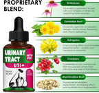 Complemento Urinario con Arándano para Perros y Gatos - Gotas para el Apoyo Renal y Vesical - 60 ml