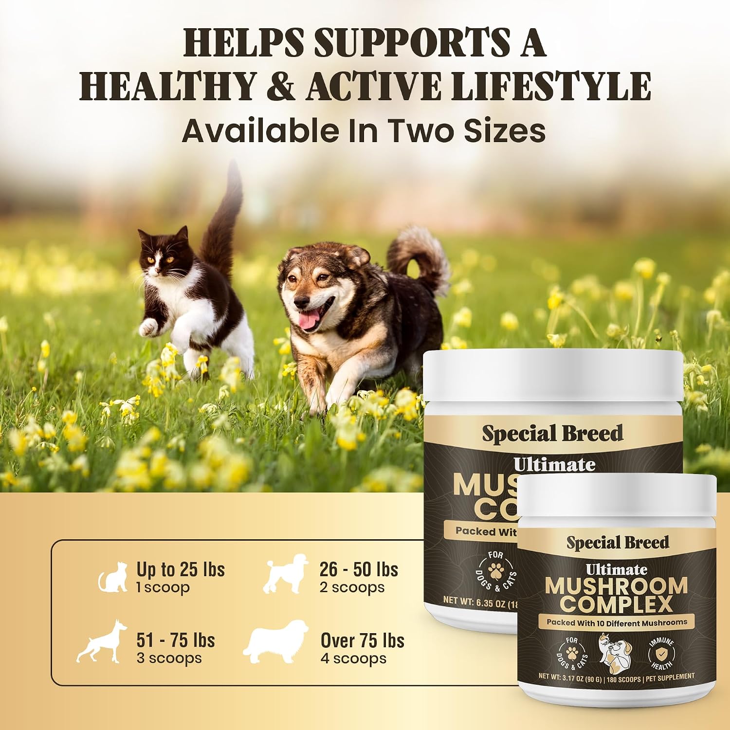 Special Breed Polvo de Hongos Orgánicos para Perros y Gatos - Complejo de 10 Hongos para Apoyo Inmunológico, Cognición y Vitalidad - 360 Cucharadas