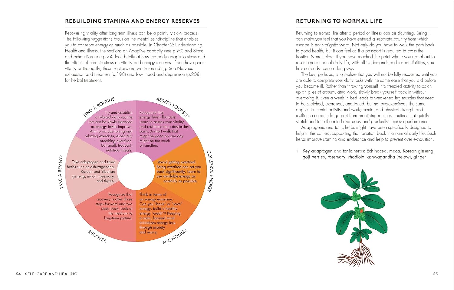 The Home Herbal: Remedios Herbales Restaurativos para la Mente, el Cuerpo y el Alma