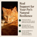 Real Mushroom Immune Pet Chews – Masticables de hongos para perros y gatos (60 uds)