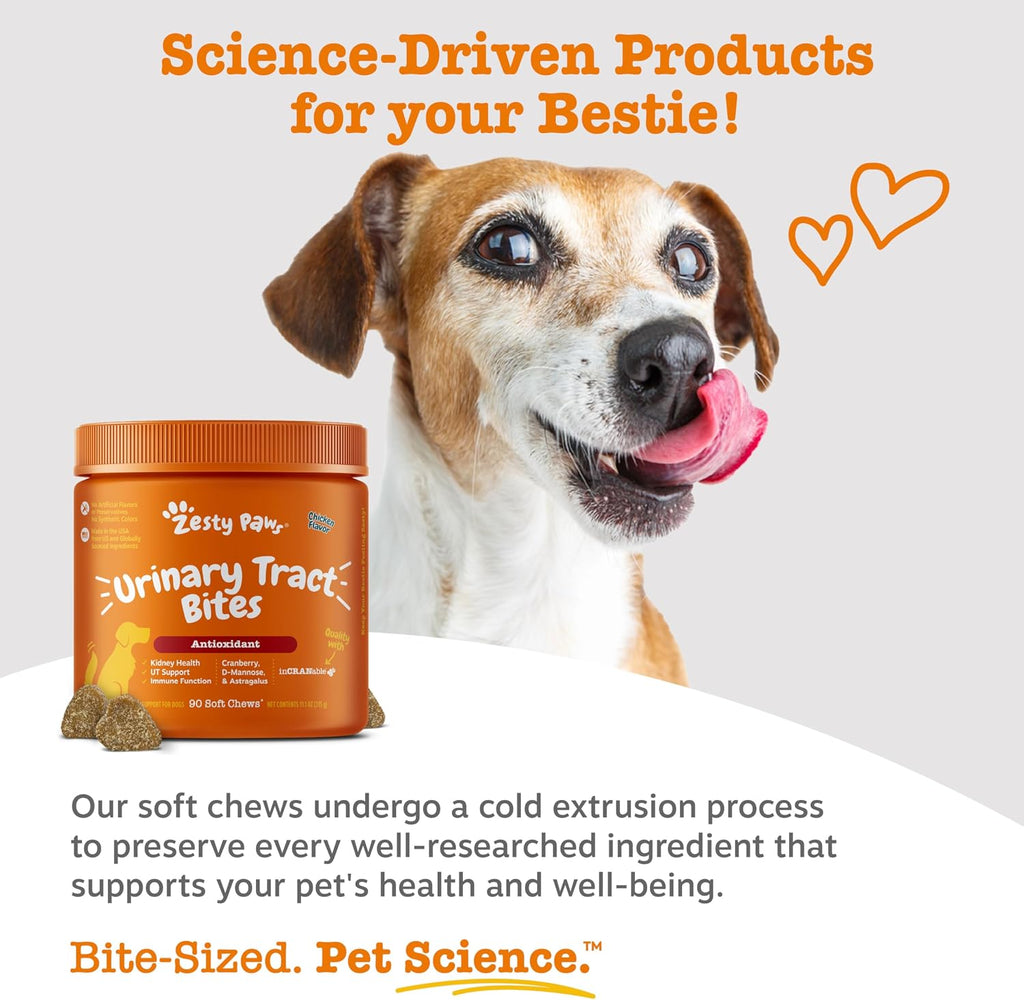 Zesty Paws Suplemento de Arándano para Perros - Control de Vejiga - Apoyo Urinario - Masticables de Arándano - Apoyo Inmune y Digestivo - Pollo - 90 Unidades