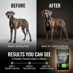Dog Weight Gainer con Probióticos - Suplemento para Ganar Peso y Músculo en Perros - 90 Dosis - Sabor Queso y Bacon