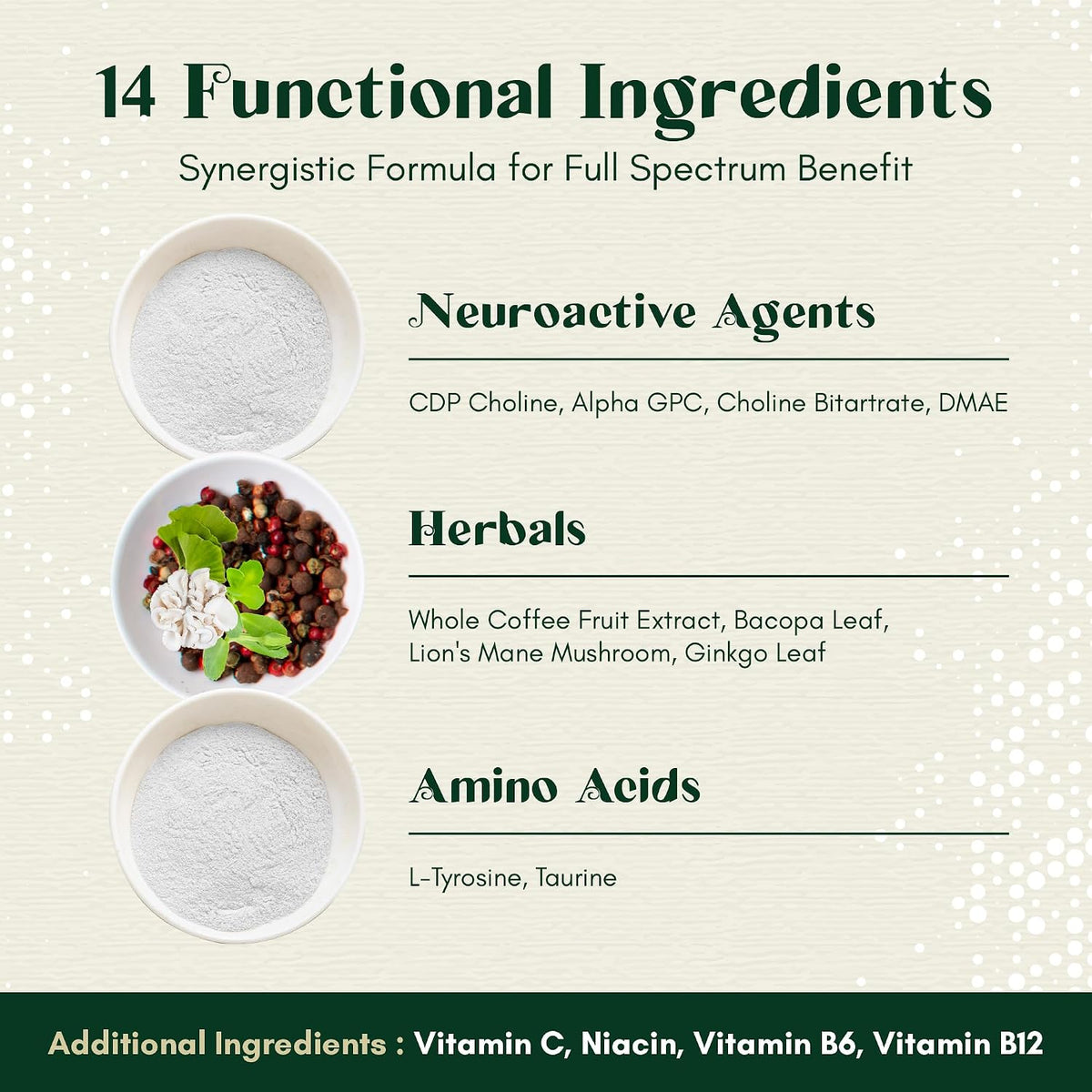 Rootful Mind Alpha Focus Nootrópico - – Melena de león (Lion's Mane): Hongo que puede apoyar la salud neuronal. – Image 6