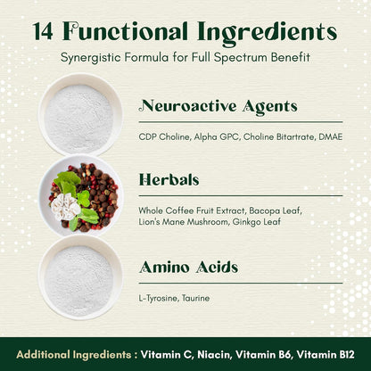 Rootful Mind Alpha Focus Nootrópico - – Melena de león (Lion's Mane): Hongo que puede apoyar la salud neuronal. – Image 6