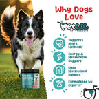 PET LOL Taurina para Perros con L-Carnitina y CoQ10, 120 Comprimidos Masticables