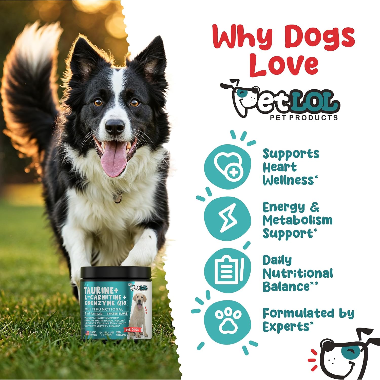 PET LOL Taurina para Perros con L-Carnitina y CoQ10, 120 Comprimidos Masticables