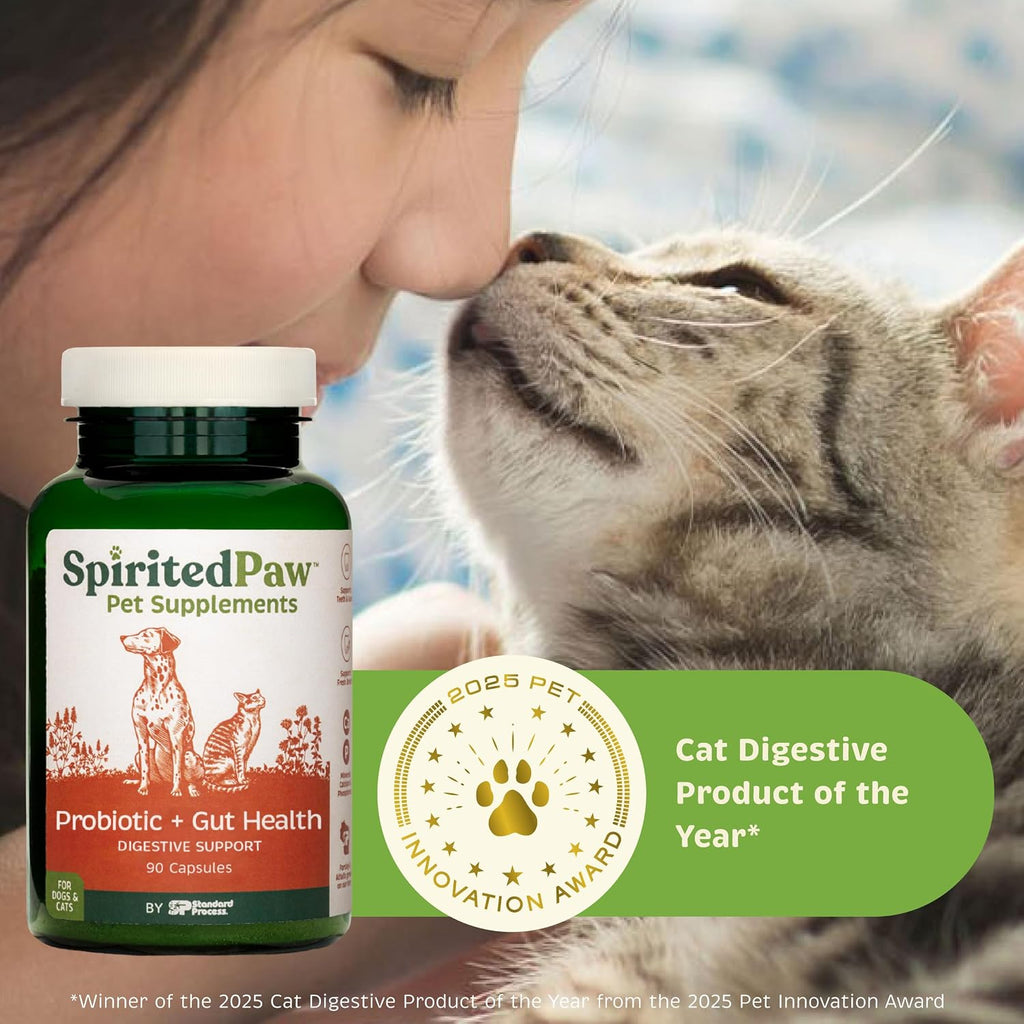 Spirited Paw Probiótico + Salud Intestinal - Apoyo Digestivo e Inmunológico para Perros y Gatos - Mezcla de Prebiótico, Probiótico y Postbiótico con Trigo Sarraceno Orgánico y Fibra de Raíz de Achicoria - 90 Cápsulas